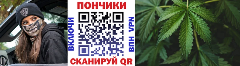 kraken   Октябрьск  Марихуана тримм 